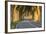 France, Provence, Vaucluse. Typical Tree Lined Road at Sunset-Matteo Colombo-Framed Photographic Print