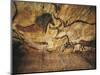 France, Reconstruction of Bull Rock Paintings of Lascaux Caves-null-Mounted Giclee Print