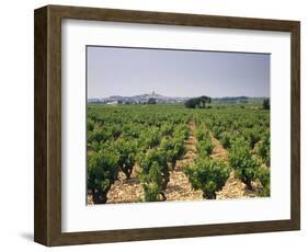 France, Rhone Valley, Chateauneuf Du Pape, Wine-Growing Area-Thonig-Framed Photographic Print