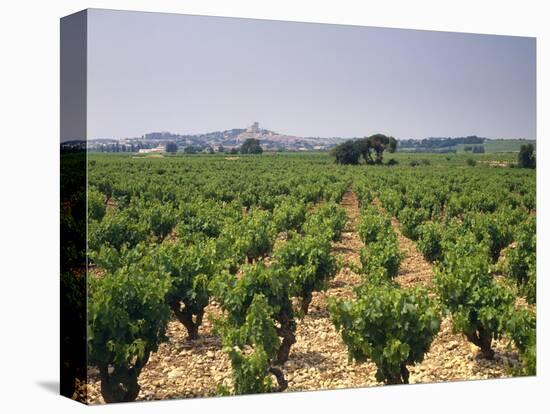 France, Rhone Valley, Chateauneuf Du Pape, Wine-Growing Area-Thonig-Stretched Canvas