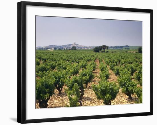 France, Rhone Valley, Chateauneuf Du Pape, Wine-Growing Area-Thonig-Framed Photographic Print