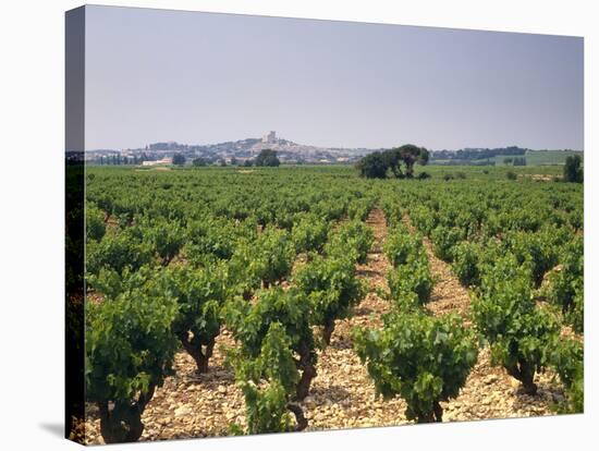 France, Rhone Valley, Chateauneuf Du Pape, Wine-Growing Area-Thonig-Stretched Canvas