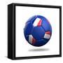 France Soccer Ball-pling-Framed Stretched Canvas