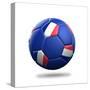 France Soccer Ball-pling-Stretched Canvas