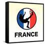 France Soccer-null-Framed Stretched Canvas