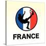 France Soccer-null-Stretched Canvas