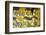 France. Textiles with sunflower and olive designs, La Victoire, Place Richelme.-Kevin Oke-Framed Photographic Print