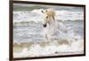 France, The Camargue, Saintes-Maries-de-la-Mer. Camargue horse in the Mediterranean Sea.-Ellen Goff-Framed Photographic Print