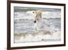 France, The Camargue, Saintes-Maries-de-la-Mer. Camargue horse in the Mediterranean Sea.-Ellen Goff-Framed Photographic Print