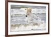 France, The Camargue, Saintes-Maries-de-la-Mer. Camargue horse in the Mediterranean Sea.-Ellen Goff-Framed Photographic Print