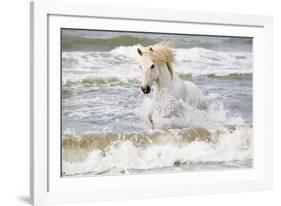 France, The Camargue, Saintes-Maries-de-la-Mer. Camargue horse in the Mediterranean Sea.-Ellen Goff-Framed Photographic Print