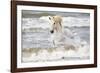 France, The Camargue, Saintes-Maries-de-la-Mer. Camargue horse in the Mediterranean Sea.-Ellen Goff-Framed Photographic Print