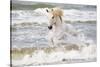 France, The Camargue, Saintes-Maries-de-la-Mer. Camargue horse in the Mediterranean Sea.-Ellen Goff-Stretched Canvas