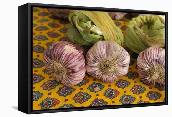 France, Vaucluse, Lourmarin. Garlic at the Friday Market-Kevin Oke-Framed Stretched Canvas