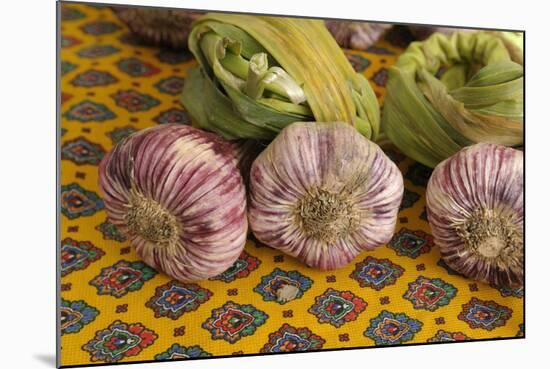 France, Vaucluse, Lourmarin. Garlic at the Friday Market-Kevin Oke-Mounted Photographic Print