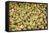 France, Vaucluse, Lourmarin. Green Olives with Pimentos Been Sold-Kevin Oke-Framed Stretched Canvas