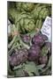 France, Vaucluse, Lourmarin. Purple Artichokes at Market-Kevin Oke-Mounted Photographic Print