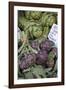 France, Vaucluse, Lourmarin. Purple Artichokes at Market-Kevin Oke-Framed Photographic Print