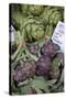 France, Vaucluse, Lourmarin. Purple Artichokes at Market-Kevin Oke-Stretched Canvas