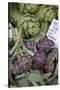 France, Vaucluse, Lourmarin. Purple Artichokes at Market-Kevin Oke-Stretched Canvas