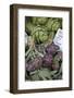 France, Vaucluse, Lourmarin. Purple Artichokes at Market-Kevin Oke-Framed Photographic Print