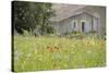 France, Vaucluse, Lourmarin. Wild Poppies in Front of an Old House-Kevin Oke-Stretched Canvas