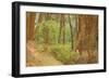 France, Vaucluse, Roussillon. Tree Covered in Ochre, Sentier Des Ocres-Kevin Oke-Framed Photographic Print