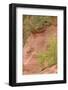 France, Vaucluse, Roussillon. Trees and Red Ochre at Sentier Des Ocres-Kevin Oke-Framed Photographic Print