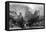 France Vaucluse-Thomas Allom-Framed Stretched Canvas