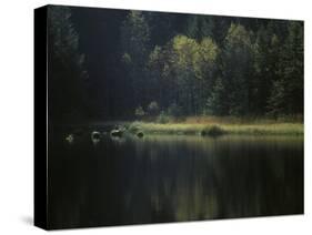 France, Vosges Mountains, Lac Du Lispach in Autumn-Andreas Keil-Stretched Canvas