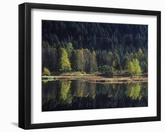 France, Vosges Mountains, Lac Du Lispach in Autumn-Andreas Keil-Framed Photographic Print