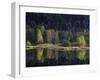 France, Vosges Mountains, Lac Du Lispach in Autumn-Andreas Keil-Framed Photographic Print