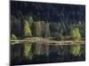 France, Vosges Mountains, Lac Du Lispach in Autumn-Andreas Keil-Mounted Photographic Print