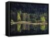 France, Vosges Mountains, Lac Du Lispach in Autumn-Andreas Keil-Framed Stretched Canvas