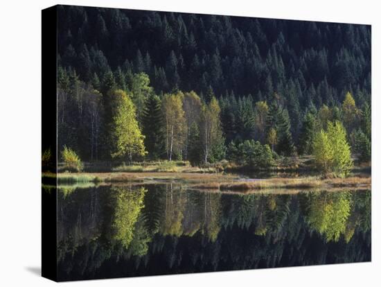 France, Vosges Mountains, Lac Du Lispach in Autumn-Andreas Keil-Stretched Canvas