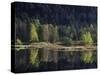 France, Vosges Mountains, Lac Du Lispach in Autumn-Andreas Keil-Stretched Canvas
