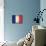 France-David Bowman-Stretched Canvas displayed on a wall