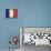 France-David Bowman-Stretched Canvas displayed on a wall