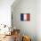 France-David Bowman-Stretched Canvas displayed on a wall