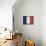 France-David Bowman-Giclee Print displayed on a wall