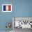 France-David Bowman-Framed Giclee Print displayed on a wall