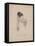 Frances Ann Kemble, Litho by Childs and Inman-John Hayter-Framed Stretched Canvas