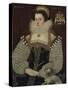 Frances, Lady Brydges, 1579-John, the Younger Bettes-Stretched Canvas