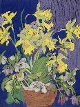 Flag Irises-Frances Treanor-Giclee Print