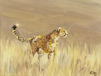 Cheetah pair hunting, 2013-Francesca Sanders-Framed Giclee Print