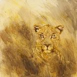 Lioness sketch, 2014-Francesca Sanders-Framed Giclee Print