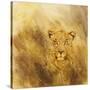 Stretched Canvas