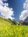 Flowering of rhododendrons at sunrise, Unterer Segnesboden, Flims, District of Imboden, Switzerland-Francesco Bergamaschi-Photographic Print