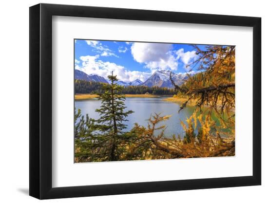Photographic Print, , large