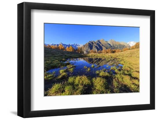 Photographic Print, , large